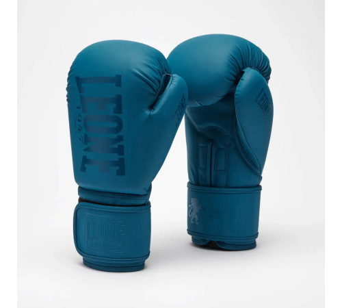 Рукавички боксерські Leone GN058 TONE X розмір 14 унцій, синьо-зелені