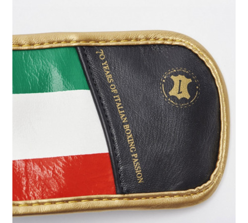 Рукавички боксерські Leone Italy 10 унцій, різнокольорові