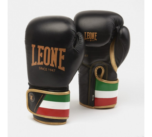 Рукавички боксерські Leone Italy 12 унцій, різнокольорові