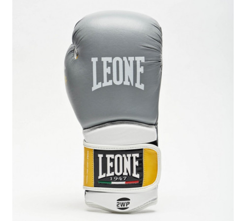 Рукавички боксерські Leone Tecnico 10 унцій, різнокольорові