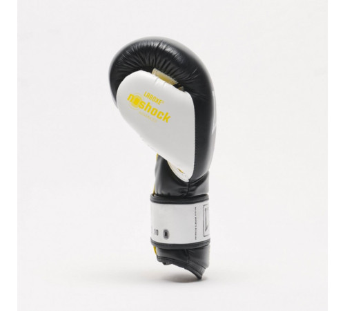 Рукавички боксерські Leone Tecnico 16 унцій, різнокольорові