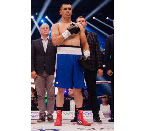 Рукавички боксерські Yakimasport TIGER BLACK L розмір 10 унцій, чорні