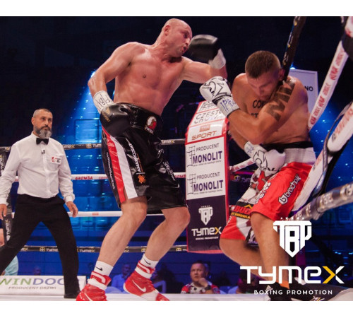 Рукавички боксерські Yakimasport TIGER BLACK L розмір 10 унцій, чорні