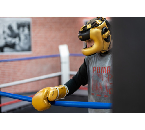 Рукавички боксерські Yakimasport TIGER GOLD V розмір 10 унцій, золотисті