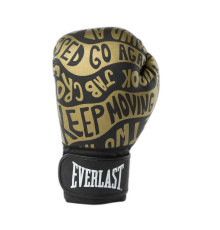 Боксерські рукавиці Everlast SPARK TRAINING GLOVE 12 унцій, чорно-золотисті