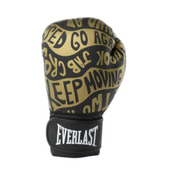 Боксерські рукавиці Everlast SPARK TRAINING GLOVE 12 унцій, чорно-золотисті