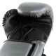 Боксерські рукавиці Everlast POWERLOCK 2R TRAINING GLOVE 14 унцій, сірі
