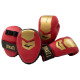 Комплект для боксу дитячі Everlast PROSPECT 2 BOXING KIT, червоно-золотий