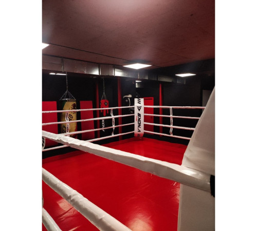 Канати V`Noks для боксерського рингу 6 м