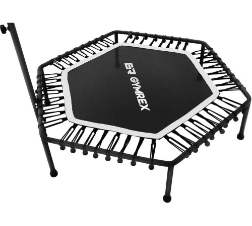 Батут для фітнесу Gymrex fitness GR-HT110B з поручнем 4 фути 124 см чорний
