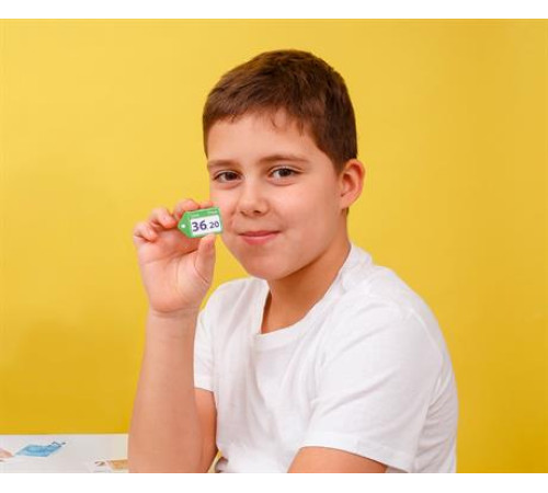 Настільна гра Vladi Toys "Домашні улюбленці" VT2312-07