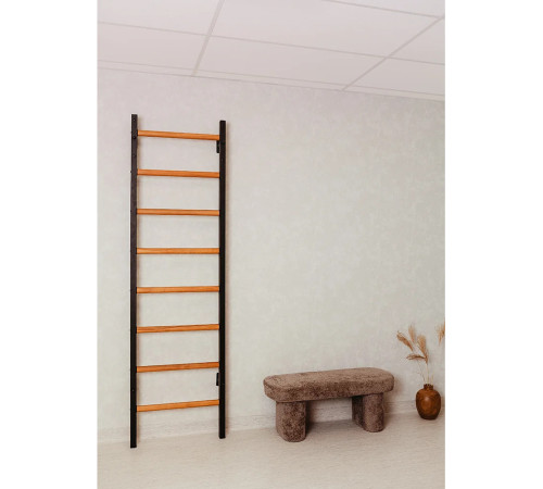 Шведська стінка BenchK 711B 240 х 67 см, чорна