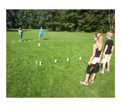 Гра Kubb Scandinavian Chess MASTER Гра Kubb Scandinavian Chess MASTER