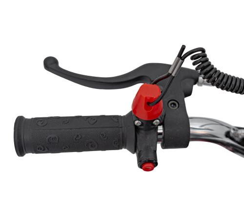 Дитячий акумуляторний мотоцикл RENEGADE 50R Зелений Дитячий акумуляторний мотоцикл RENEGADE 50R Зелений