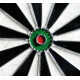 Дартс класичний Equinox Aries DA-11 - 45,7 см