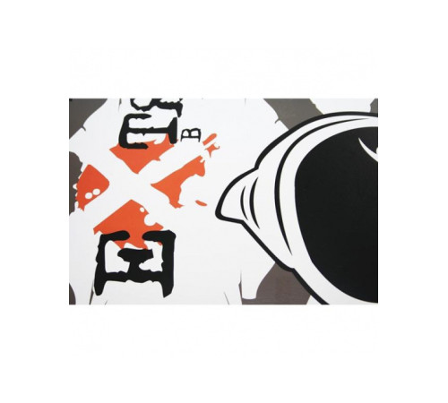Скейтборд CR3108SA NILS EXTREME Скейтборд CR3108SA NILS EXTREME