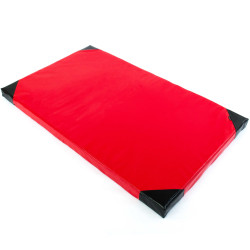 Мат гімнастичний Marbo Sport MC-M002 T40 200 x 120 x 10 см, червоний