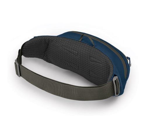 Поясна сумка Osprey Daylite Waist