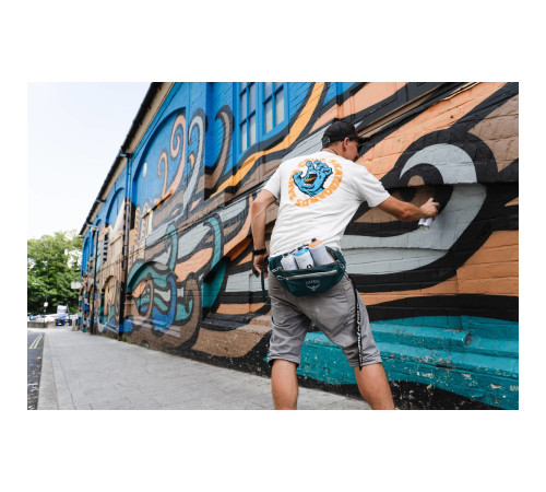 Поясна сумка Osprey Daylite Waist