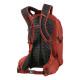 Рюкзак туристичний Gregory 22 л KIRO BRICK RED 136982/1129 MOMENTUM DAYPACKS