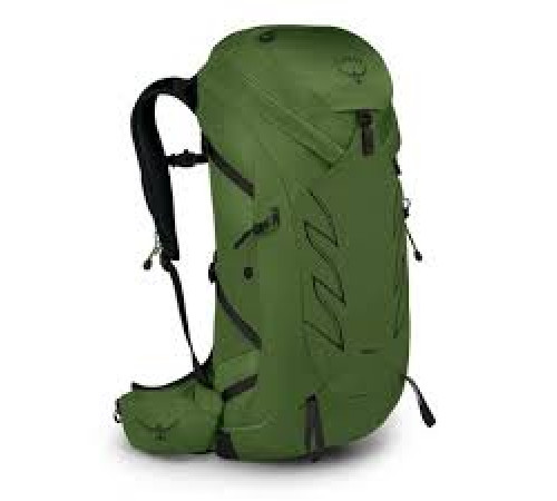 Рюкзак Osprey Talon 36 green belt/black - L/XL - зелений Рюкзак Osprey Talon 36 green belt/black - L/XL - зелений