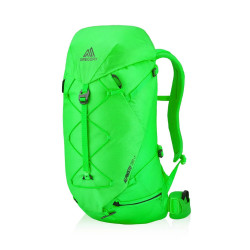 Рюкзак туристичний Gregory ALPINISTO 38 л MD\LG - зелений