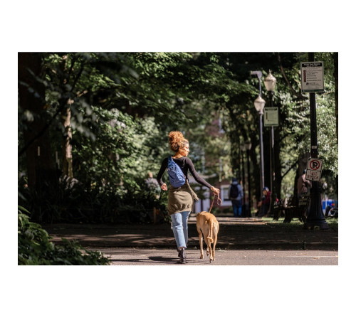 Рюкзак Osprey Daylite Sling