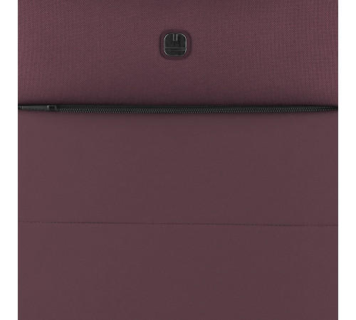 Валіза Gabol Florida (S) Dark red (123122-037) Валіза Gabol Florida (S) Dark red (123122-037)