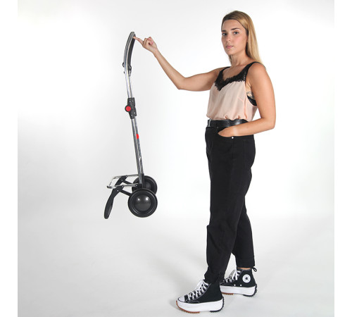 Сумка-візок Rolser I-Max Thermo Zen 2L Azul (IMX352-1026) Сумка-візок Rolser I-Max Thermo Zen 2L Azul (IMX352-1026)