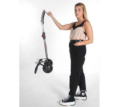 Сумка-візок Rolser I-Max MF 2L 43 Marengo (IMX304-1031) Сумка-візок Rolser I-Max MF 2L 43 Marengo (IMX304-1031)