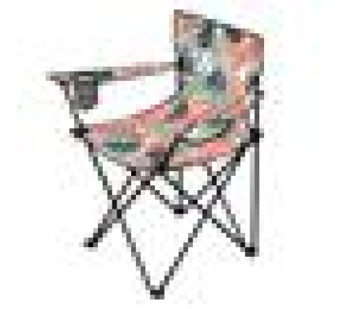 Крісло для кемпінгу NILS CAMP NC1625 - різнокольорове