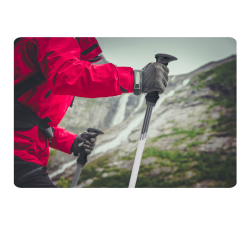 Трекінгові палиці Neo-Sport NS-381, сріблястий