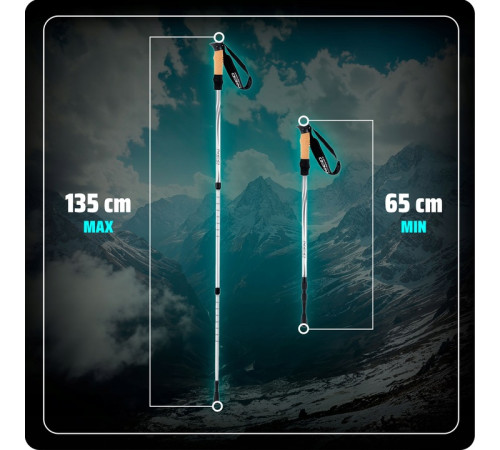 Трекінгові палиці Neo-Sport NS-380, сріблястий
