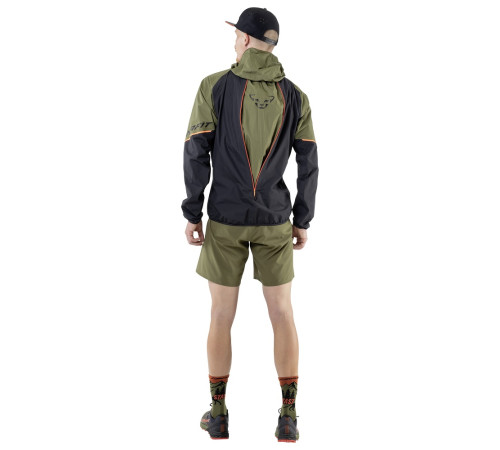 Куртка Dynafit Alpine GTX Mns