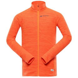 Фліс Alpine Pro Nath