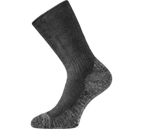 Шкарпетки Lasting WSM - M - синій Шкарпетки Lasting WSM - M - синій