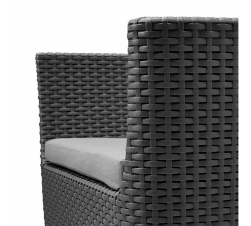 Комплект крісел садових Keter Salemo WS DUO, графіт