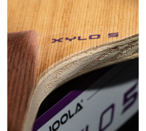 Основа для ракетки Joola XYLO 5 FL, бежева