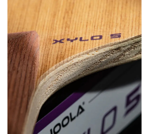 Основа для ракетки Joola XYLO 5 FL, бежева