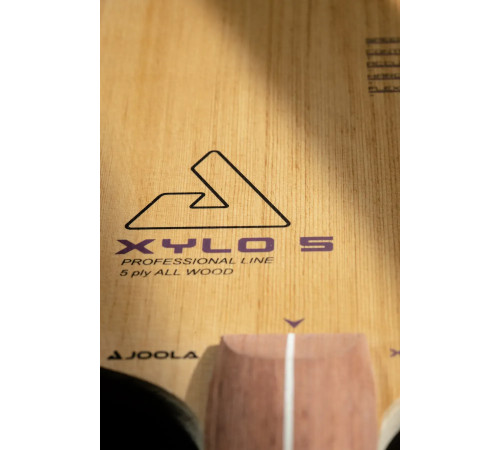 Основа для ракетки Joola XYLO 5 FL, бежева