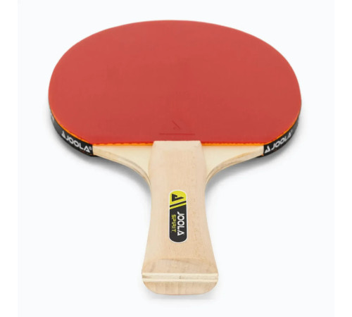 Набір для настільного тенісу JOOLA Family Set