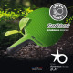 Ракетка для настільного тенісу Cornilleau SOFTBAT OUTDOOR, зелена