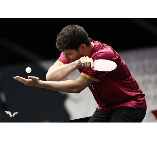 Ракетка для настільного тенісу Butterfly Ovtcharov Prime C Carbon FL, чорно-червона