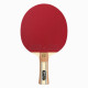 Ракетка для настільного тенісу Atemi 4000 PRO Balsa ECO-Line