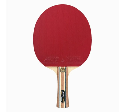 Ракетка для настільного тенісу Atemi 3000 PRO Carbon ECO-Line