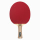 Ракетка для настільного тенісу Atemi 3000 PRO Carbon ECO-Line