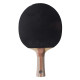 Ракетка для настільного тенісу Atemi 5000 PRO Balsa-Carbon ECO-Line