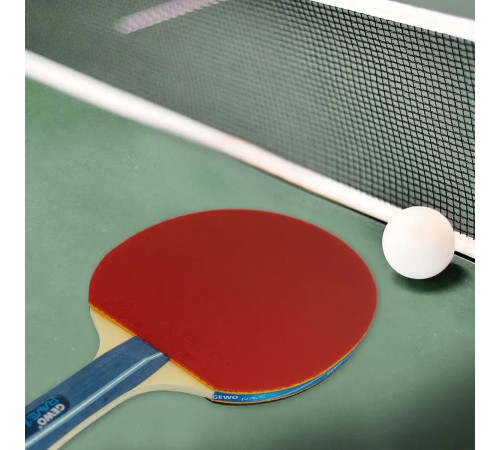 Ракетка для настільного тенісу Gewo Rave Junior FL, чорно-червона