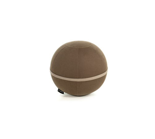 М'яч гімнастичний NOHRD Viva Ball 75 см, коричневий