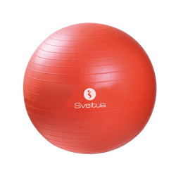 М'яч для фітнесу Sveltus SLTS-0396 Gymball ABS 55 см, помаранчевий
